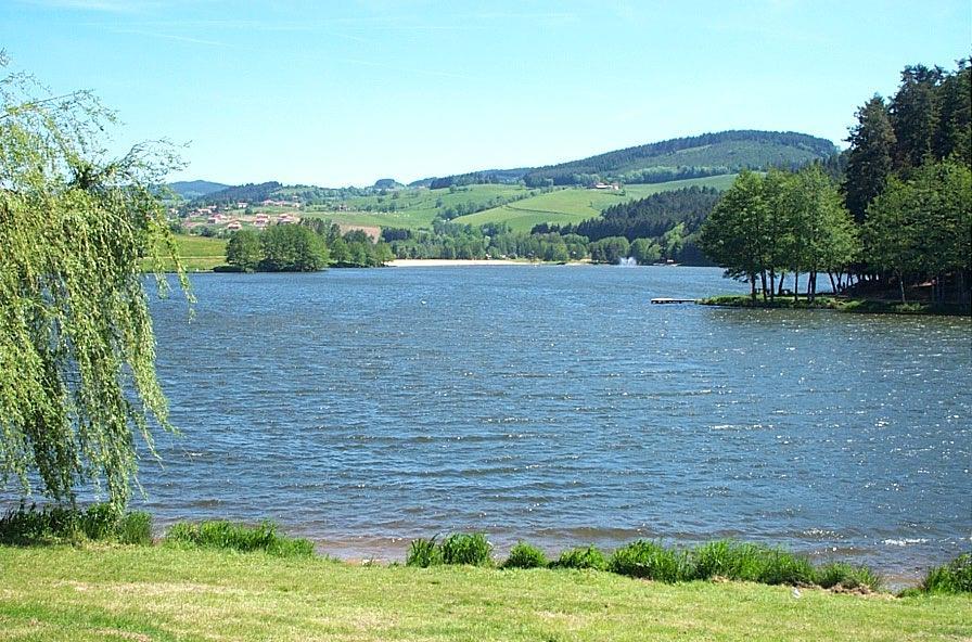 Le Clos Fleuri Bourg-de-Thizy Eksteriør billede